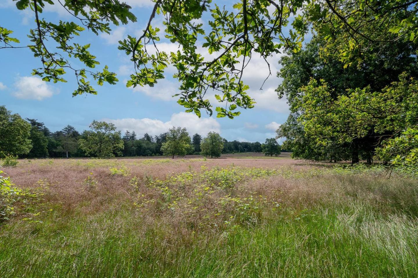Landhuisje 31 'De Akkersteen' Bospark Ijsselheide Zwolle Hattemerbroek Kültér fotó